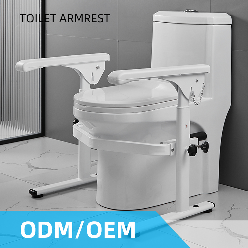 Foldable Toilet Handrail Safet - đánh giá và giá Home Bathroom Grab Bar